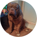 Masha Sova profile picture